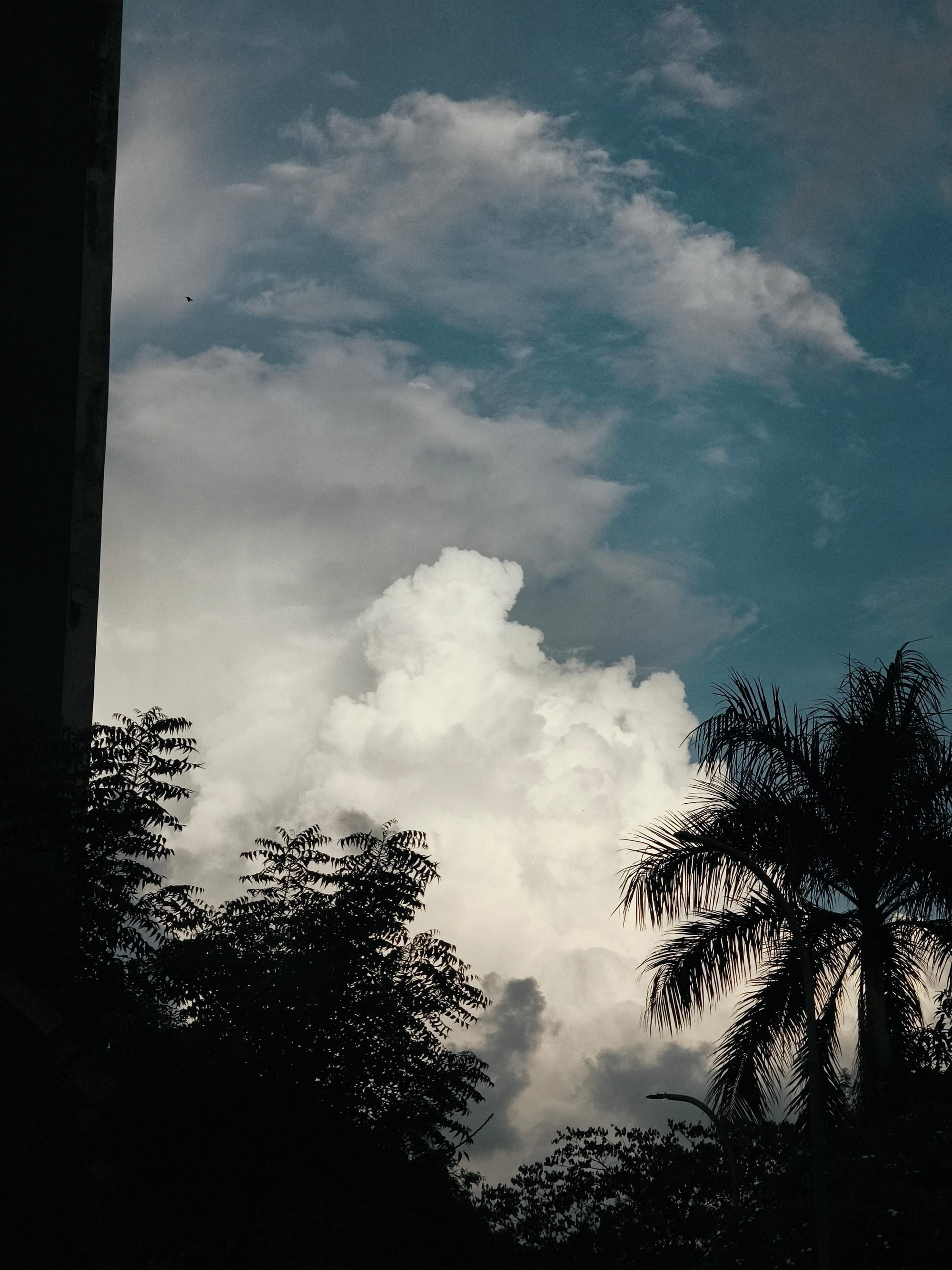 It rained the whole day today